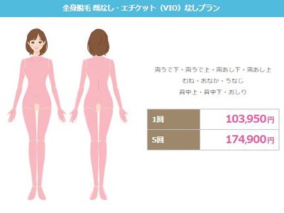 エミナルクリニック全身脱毛　顔なし・VIOなし料金