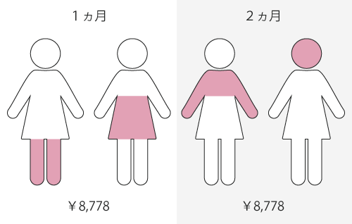 ストラッシュ月額プランの解説