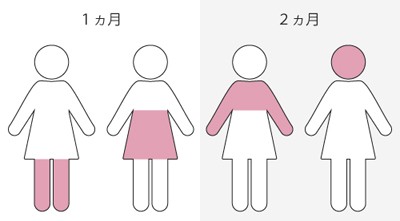 ストラッシュ月額料金