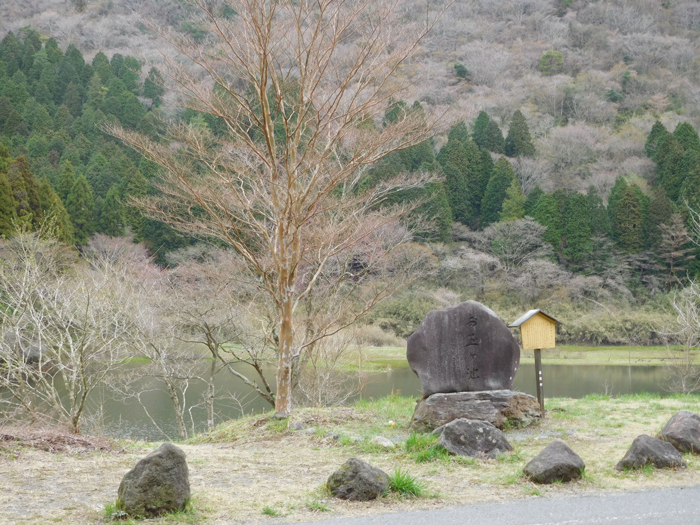 なずなが池