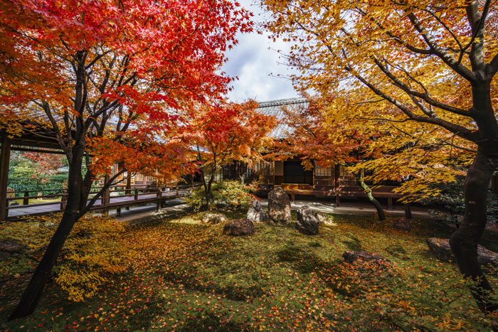 紅葉の寺院写真