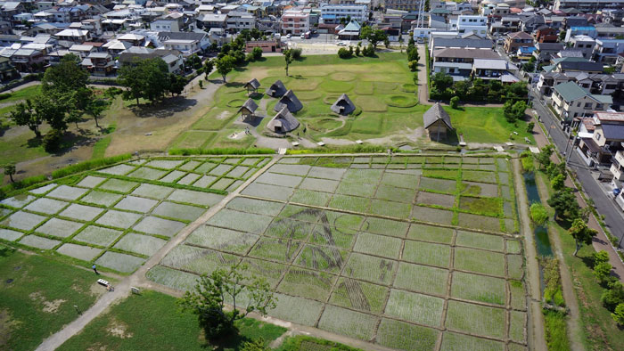 遺跡の様子③