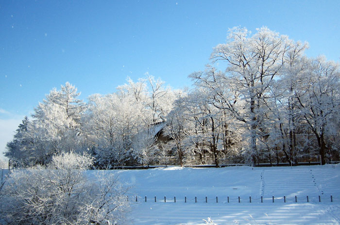 雪景色の写真