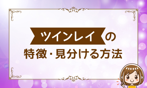 ツインレイの特徴・見分ける方法